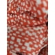thumbnail image 2 of Blusa M Segunda Mano Mujer, 2 of 3
