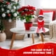 thumbnail image 5 of Peluche Elves Behavin' Badly Duende de Navidad Negro 30 cm, 5 of 8