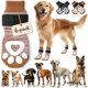 thumbnail image 1 of Calcetines para perros Bixie XL (paquete de 6) - Protector antideslizante para patas, 1 of 6