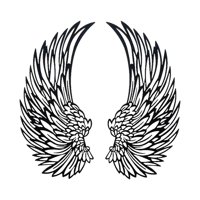 Bothyi - Escultura De Pared Cumpleaños Porche Hotel Colgante De Pared Ala De Ángel Decoración De Pared Sin Luz 35X16Cm