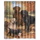 thumbnail image 1 of Cortina de ducha con diseño de perro Labrador Retriever, juego de cortinas de baño con ganchos, tamaño 60 x 72 pulgadas, 1 of 3