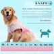 thumbnail image 4 of Traje De Recuperación Para Perro Transpirable Anti Lamido Posquirúrgico, 4 of 7