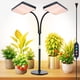 thumbnail image 1 of Luces de cultivo de mesa Fecida 2026 de 2 cabezales, 50 W, para sembrar semillas, 1 of 8