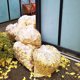 thumbnail image 4 of Bolsas de basura Tasker 208-227 L (50 unidades con corbatas) transparentes, 4 of 14