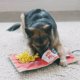 thumbnail image 5 of Colchoneta para perros Outward Hound Nina Ottosson Activity Matz, 5 of 6