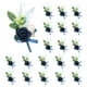 thumbnail image 1 of Boutonniere Uxcell Azul Marino 20 Piezas, 1 of 3