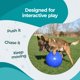 thumbnail image 5 of Juguete para perro Jolly Pets Pelota Push‑n‑Play de 15 cm azul, 5 of 9
