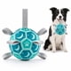 thumbnail image 1 of Pelota de fútbol para perros Kylinsure 15 cm con correa, azul, 1 of 8