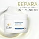 thumbnail image 5 of Crema Dove de Tratamiento Reconstrucción + Aminoacidos, 300 g, 5 of 8