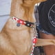 thumbnail image 4 of Collar Para Perros Talla XS Ajustable Diseño Sandía, 4 of 4