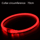 thumbnail image 3 of Collar LED para perros - Collar para perros con luz recargable por USB que brilla en la oscuridad., 3 of 6