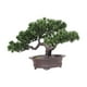 thumbnail image 1 of Planta De Maceta De árbol De Bienvenida Artificial Bonsai Versátil Para Hall Vestibule Style B, 1 of 3