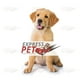 thumbnail image 2 of Churu - Dog Fun Bites Perro Pollo Y Queso 6P 132Gr, 2 of 2