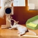 thumbnail image 2 of Caja De Arena Pequeño Gatos Mascotas Hogar Aseo Higiene Lau, 2 of 3