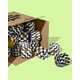 thumbnail image 1 of Papel higiénico Who Gives A Crap, 100% bambú, 48 rollos, 3 capas, 1 of 9