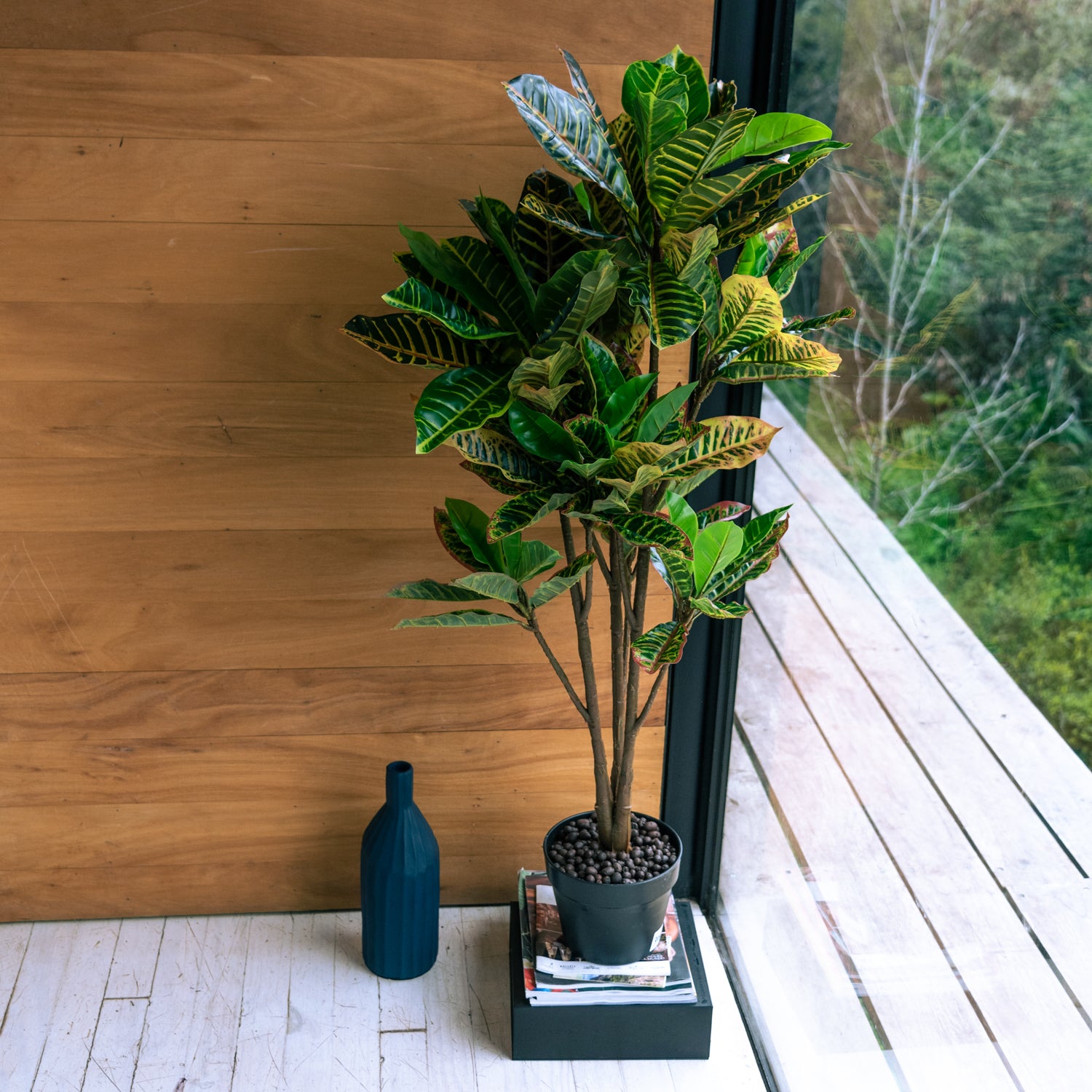 Vadell Home - Crotón De 115 Cm