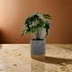 thumbnail image 3 of Planta Artificial Tropical Macetero Ceramica Gris Con Dorado, 3 of 7