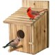 thumbnail image 1 of Casa de madera para pájaros NATUREYLWL para pinzones, azulejos y cardenales, 1 of 7
