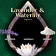 thumbnail image 4 of Recambio De Aceite Perfumado Vibrant Plug In Lavanda Y Nenúfar, 4 of 9