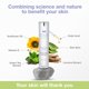 thumbnail image 2 of Crema iluminadora YOUN Beauty Ácido kójico Ácido glicólico 50 ml, 2 of 8
