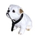 thumbnail image 3 of Figuras Divertidas De Perro Que Asiente Con La Cabeza, Accesorios Para Muñecas, Estatua Interior Automática, 3 of 6