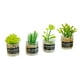 thumbnail image 1 of 4 Uds Escala 1:12 Casa De Muñecas Plantas En Miniatura Modelo Pequeño Bonsái Para Casa De Muñecas Estilo B, 1 of 5
