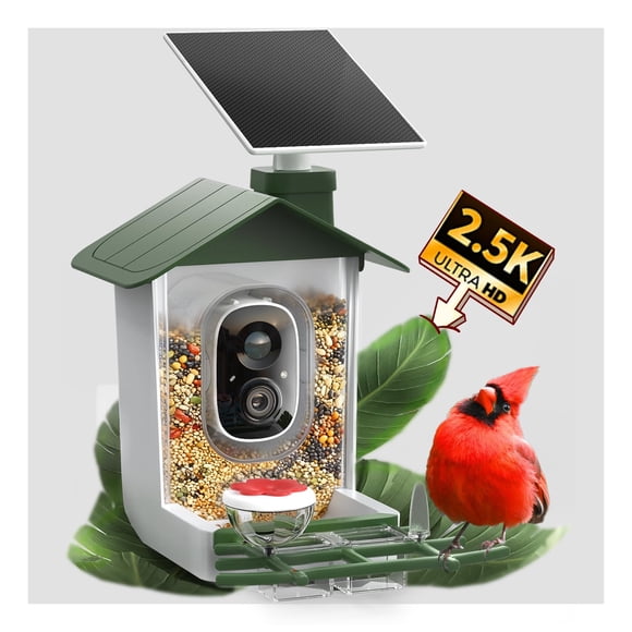 Alimentador Inteligente para Pájaros COOAU 5MP con Cámara Solar