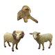 thumbnail image 1 of 3 Animales De Oveja Realistas, Modelo De Granja De Zoológico Para Decoración De Fiesta De Navidad De Cumplea?os, 1 of 4