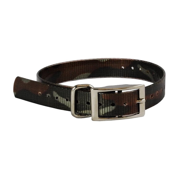 Collar para perro The Buzzard's Roost correa verde de 2.54 cm