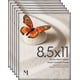 thumbnail image 1 of Marco de fotos Mantello Essentials, 8,5 x 11 cm, carga frontal, paquete de 6, 1 of 9