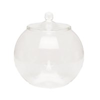 Bothyi - Contenedor De Plantas De Vidrio, Tarro De Terrario De Vidrio Para Cocina, Dormitorio, Escritorio