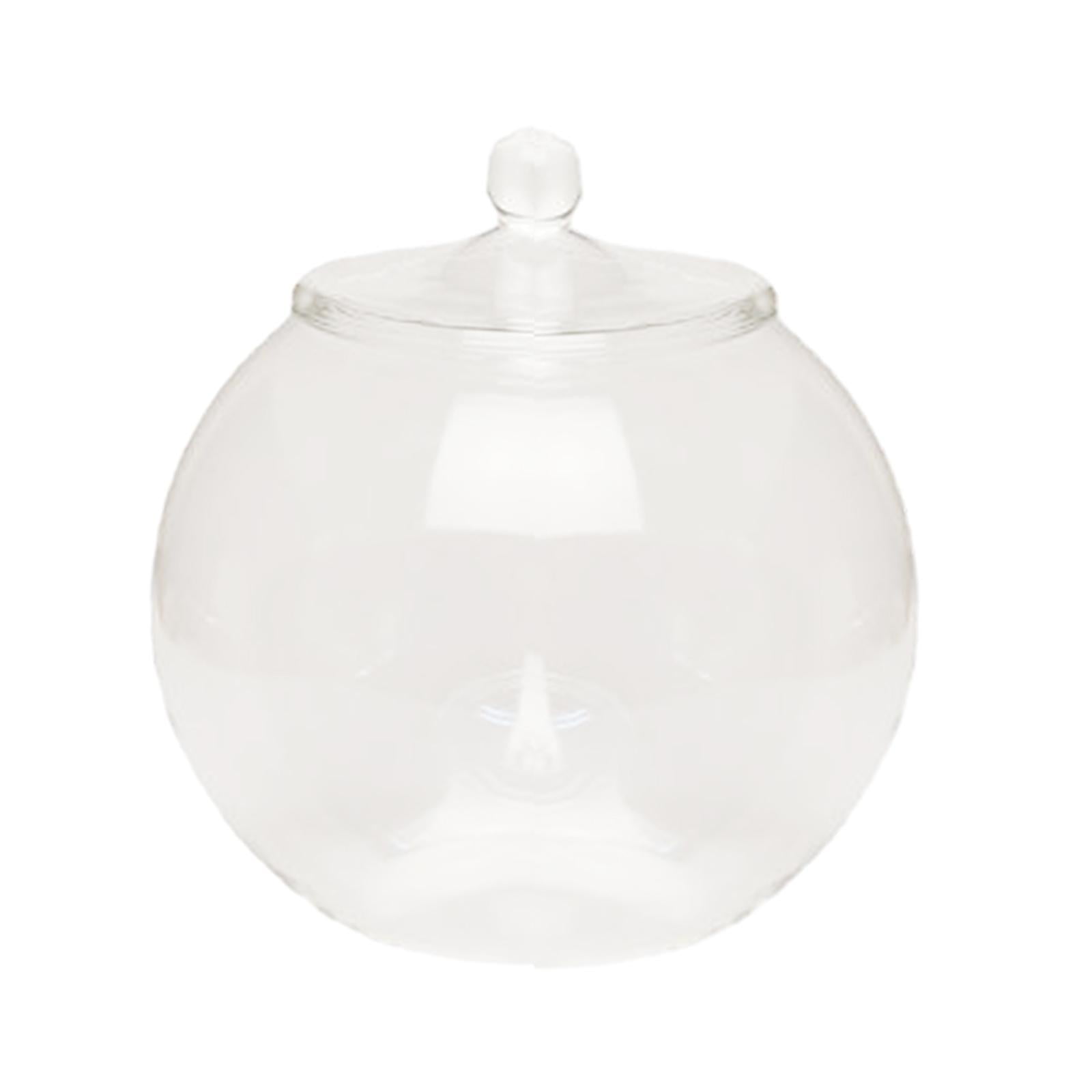 Bothyi - Contenedor De Plantas De Vidrio, Tarro De Terrario De Vidrio Para Cocina, Dormitorio, Escritorio