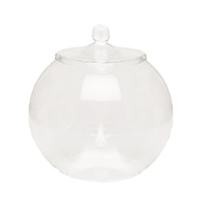 Bothyi - Contenedor De Plantas De Vidrio, Tarro De Terrario De Vidrio Para Cocina, Dormitorio, Escritorio