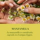 thumbnail image 5 of Shampoo Herbal Essences Classic Shine Chamomile, 5 of 5