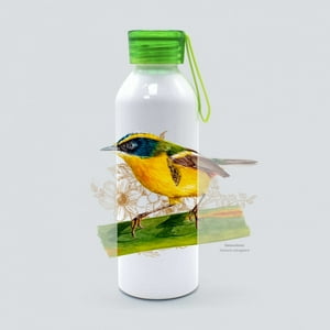 Bendito - Botella Sietecolores