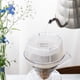 thumbnail image 5 of Cafetera HARIO V60 Drip-Assist, tamaño 02, transparente, 5 of 7