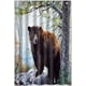 thumbnail image 1 of Cortina de ducha con ganchos para baño, diseño de la brutalidad del oso, 48 x 72 pulgadas, 1 of 3