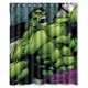 thumbnail image 1 of Cortina de ducha de Hulk, juego de cortina de baño con ganchos, tamaño 60 x 72 pulgadas, 1 of 3