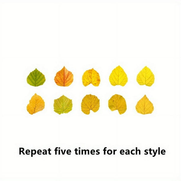50pcs/Pack Fall Leaves Series Washi Tape - Perfect for DIY Scrapbooking, Masking & Decorative Stickers!