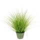 thumbnail image 1 of Grass zebra redondo 100 cm, 1 of 1