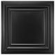 thumbnail image 1 of Plafones Art3d de PVC negro, 60 x 60 cm, paquete de 12, 1 of 8