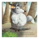 thumbnail image 3 of Libro: Mi Gran Libro De Cuentos Clasicos - Lexus - Nuevo T/d, 3 of 4