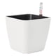 thumbnail image 3 of Solución Automática De Agua Para Macetas De Riego Automático Para Plantas Bonsai Square M, 3 of 5