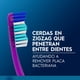 thumbnail image 3 of Cepillo de Dientes Oral-B Medio, 4 Un, 3 of 5