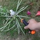 thumbnail image 3 of Herramienta quitahierbas Carrie Rowe, deshierbador portátil para jardín, 3 of 7