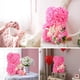 thumbnail image 2 of Set de regalo K KYMAKE Rose Bear Pink Bear con collar, 2 of 6