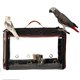 thumbnail image 2 of Transportadora Ligera para Aves Colorday 48x30x33 cm 1,5 kg, 2 of 8