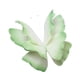 thumbnail image 3 of Mariposa Artificial 3D De 60 Cm Para Decoración De Bodas, Bricolaje, Escaparate, Color Verde, 3 of 3