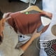 thumbnail image 5 of Vaporizador de tela con cartucho Steamfast SF-407, 1,2 L, color blanco, 5 of 7