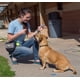 thumbnail image 4 of Clicker Starmark Pro-Training para perros, 4 of 4